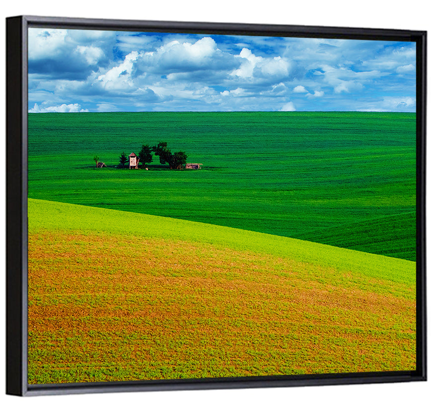 Golden Field and Green Hillside Wall Art