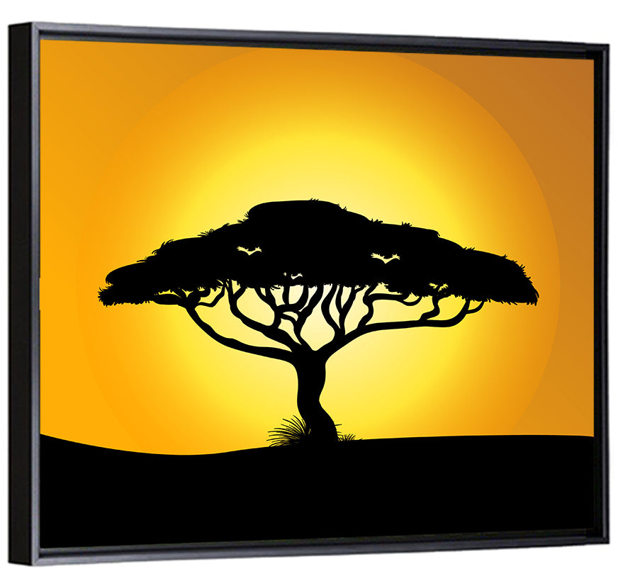 Acacia at Sunset Wall Art
