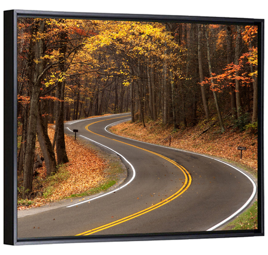 S-curve Road Through Autumn Forest Wall Art