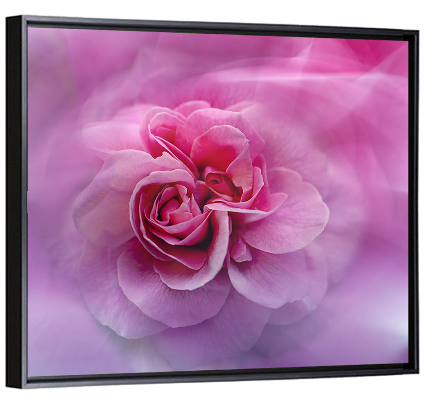 Ethereal Pink Rose Bloom Wall Art