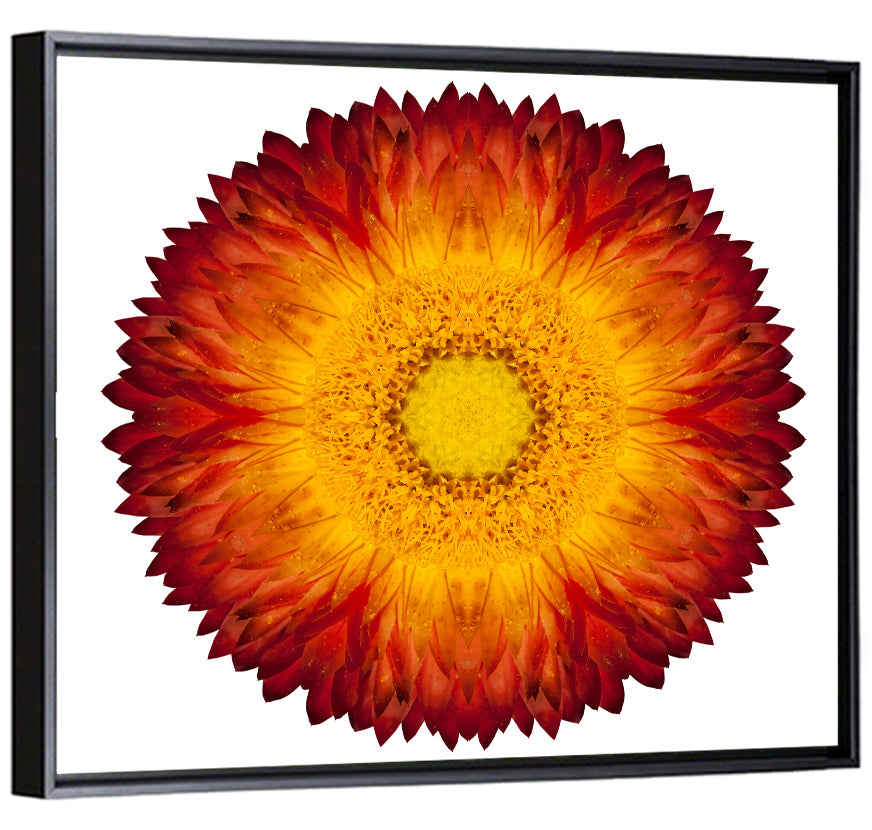 Kaleidoscopic Strawflower Mandala Wall Art