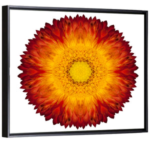 Kaleidoscopic Strawflower Wall Art