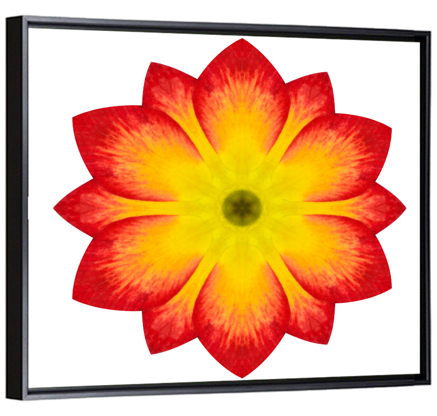 Primrose Radial Mandala Wall Art