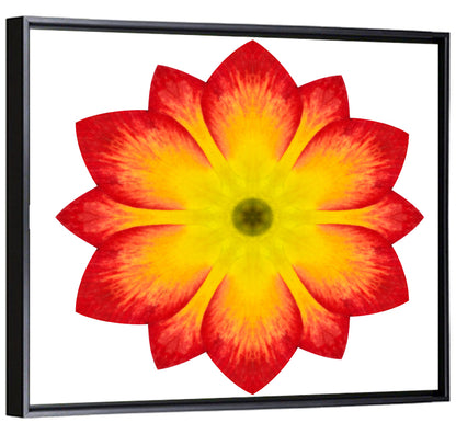 Primrose Radial Mandala Wall Art