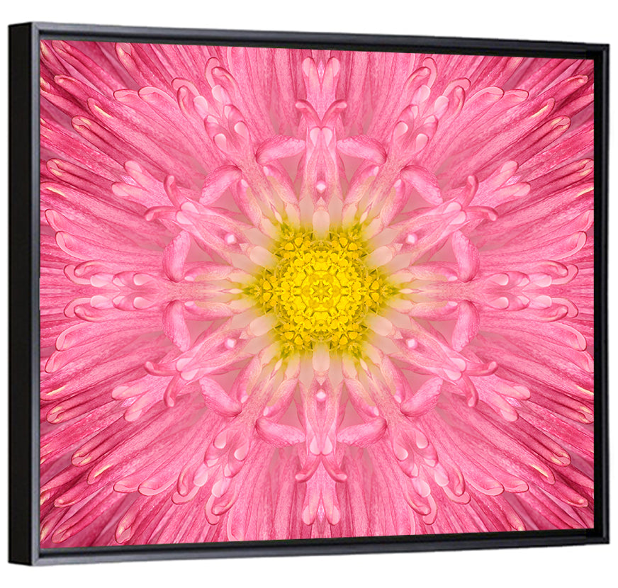 Pink Chrysanthemum Mandala Bloom Wall Art