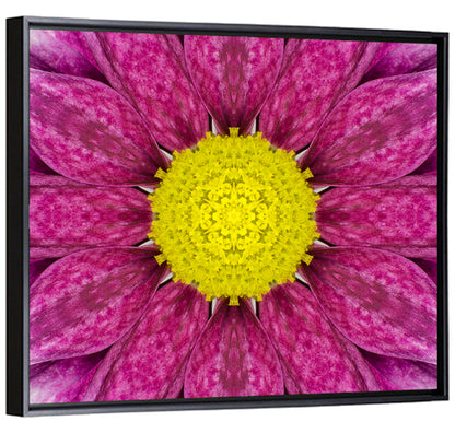 Kaleidoscopic Daisy Mandala Close Up Wall Art