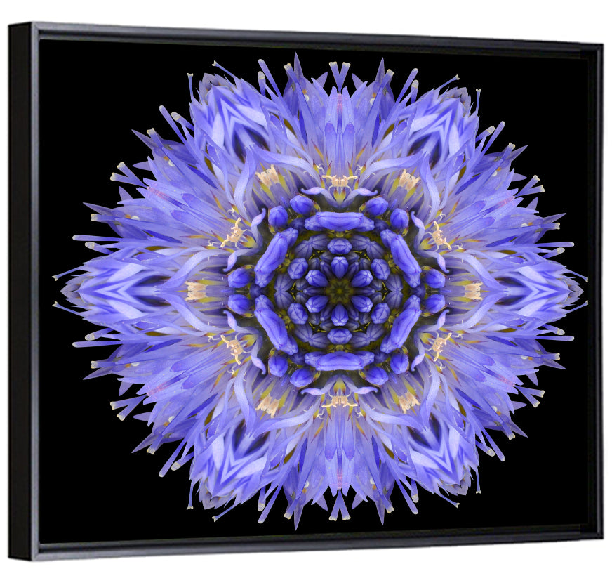 Cornflower Mandala Kaleidoscope Wall Art