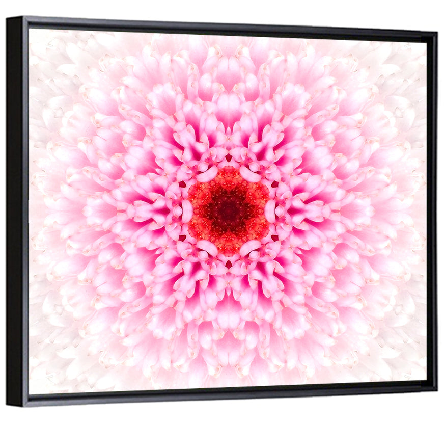 Pink Chrysanthemum Mandala with Deep Red Center Wall Art