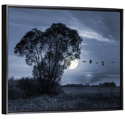 Moonlit Birds Over Quiet Field Wall Art