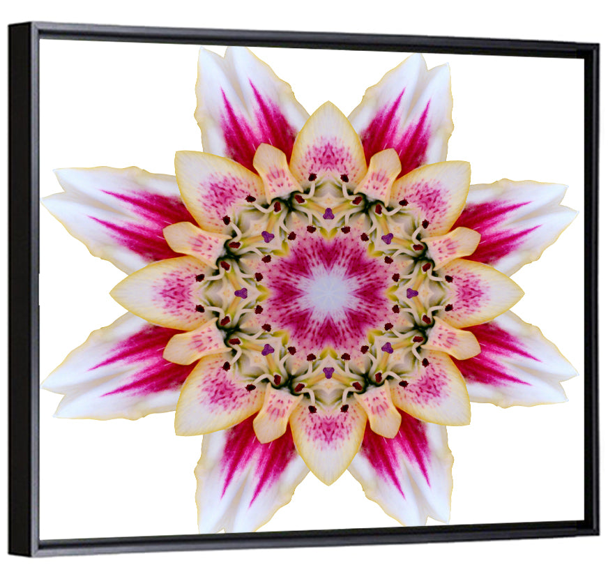 Pink Lily Star Mandala Pattern Wall Art