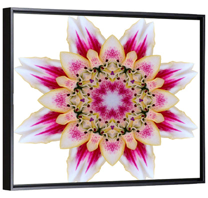 Pink Lily Star Mandala Pattern Wall Art