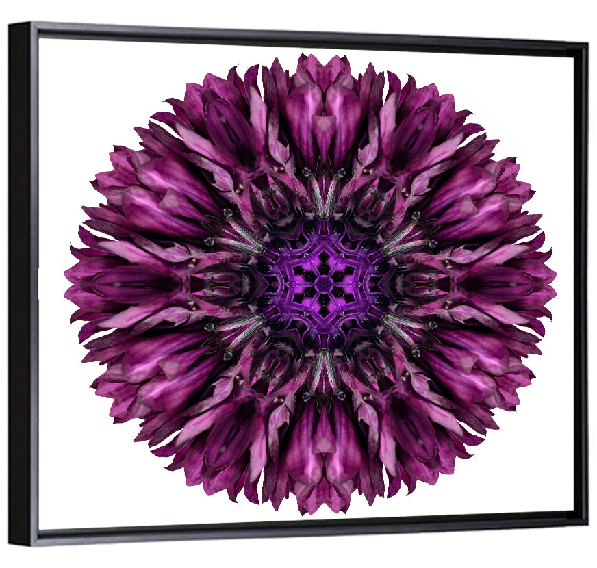 Purple Cornflower Kaleidoscope Mandala Wall Art