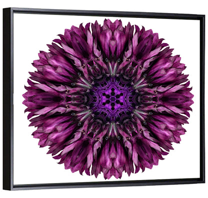 Purple Cornflower Kaleidoscope Mandala Wall Art