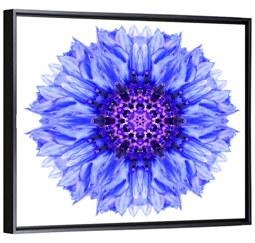 Cornflower Mandala Pattern Wall Art