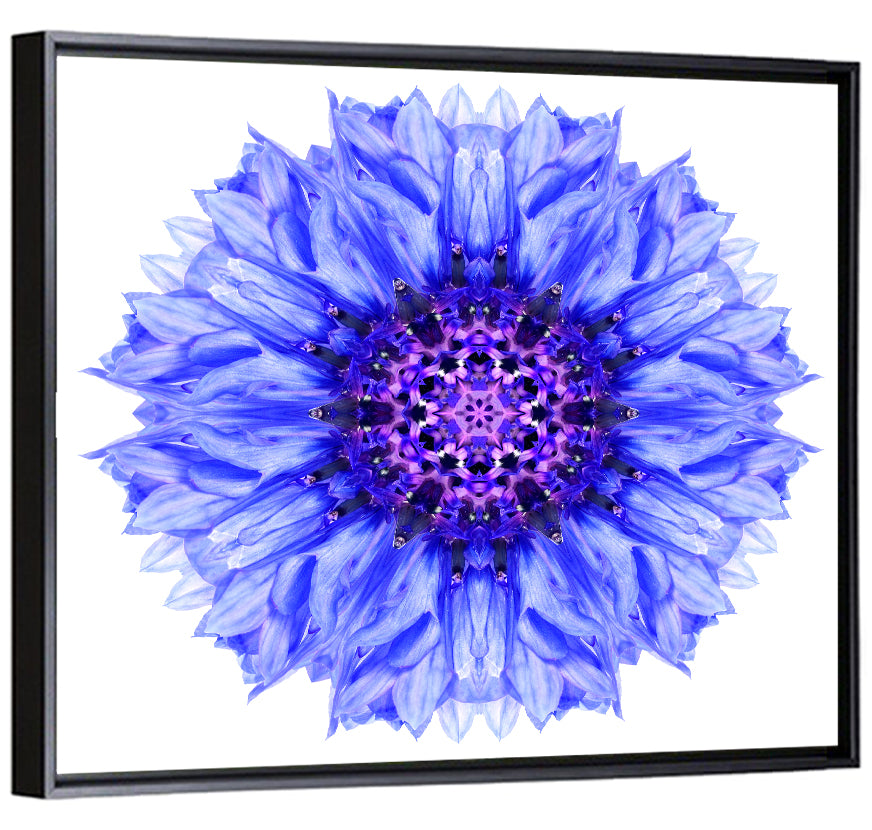 Cornflower Mandala with Dark Violet Center Wall Art