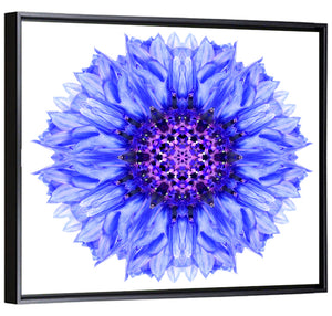 Cornflower Mandala Pattern Wall Art