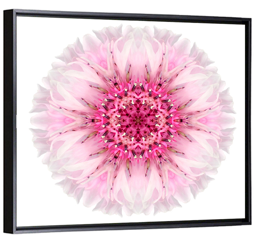 Pink Cornflower Kaleidoscope Mandala Wall Art