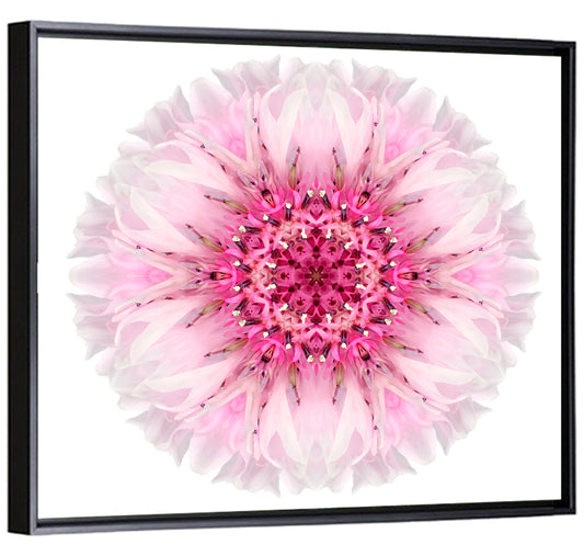 Pink Cornflower Wall Art