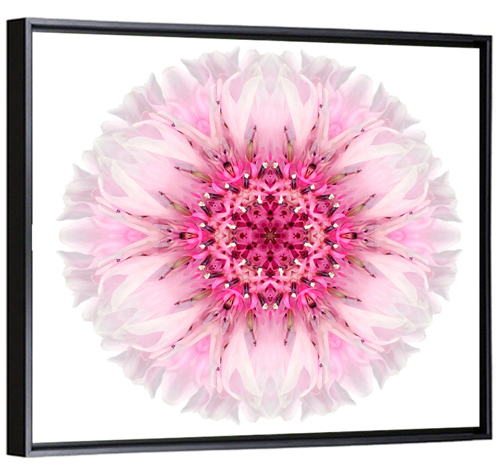Pink Cornflower Kaleidoscope Mandala Wall Art as a framed canvas