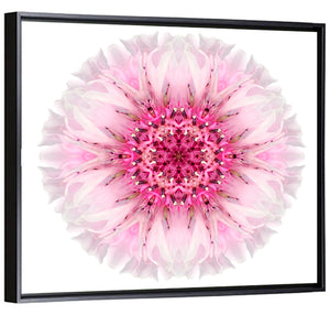 Pink Cornflower Wall Art