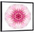 Pink Cornflower Wall Art