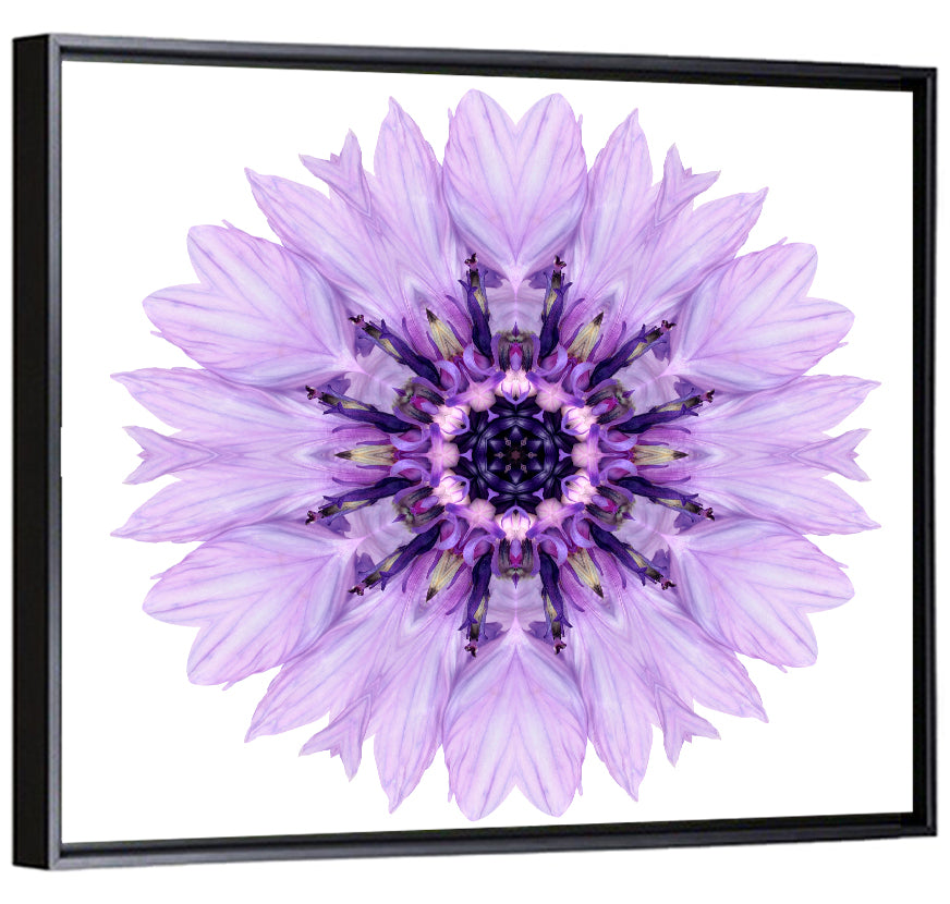 Lavender Cornflower Mandala Wall Art