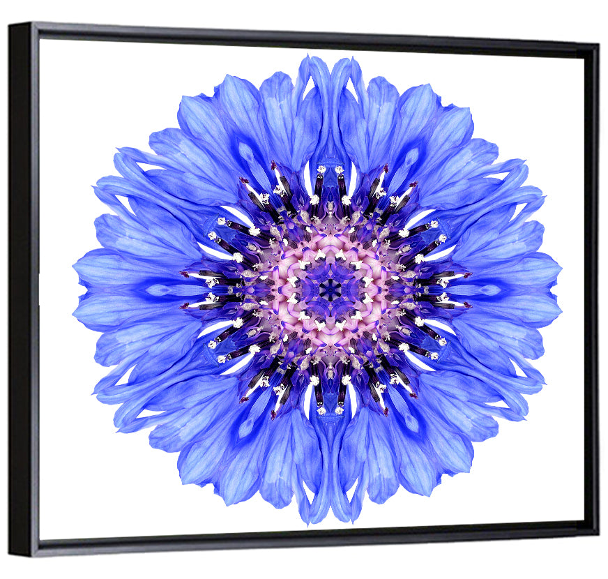 Blue Cornflower Mandala Pattern Wall Art