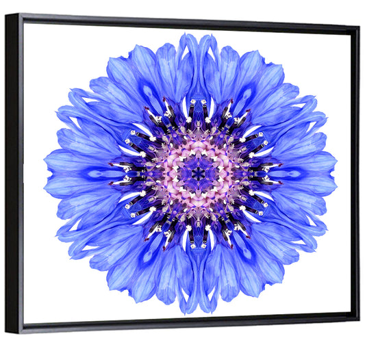 Blue Mandala Floral Pattern Wall Art