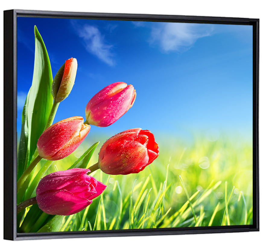 Dewy Red Tulips Under Blue Sky Wall Art