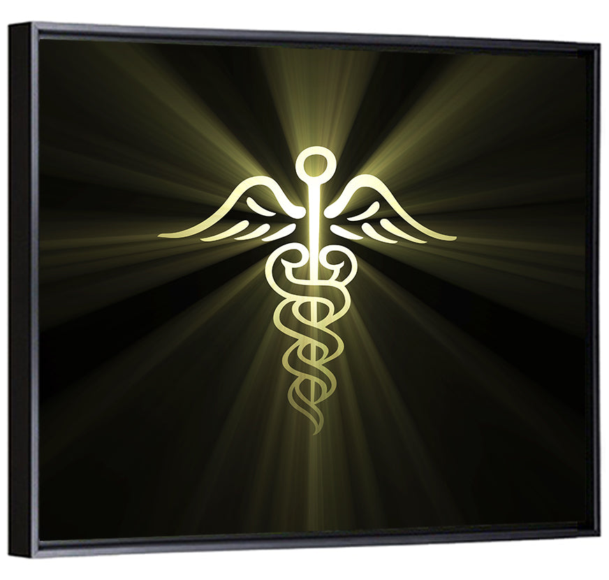 Medical Corps Caduceus Emblem Wall Art