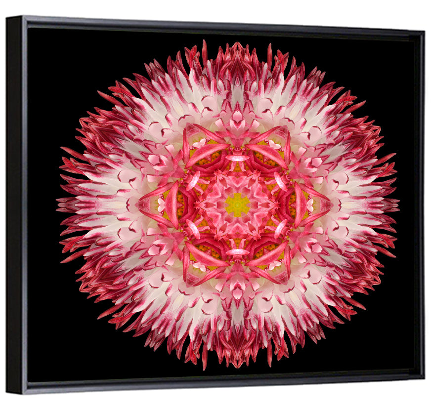 Magenta Chrysanthemum Star Mandala Wall Art