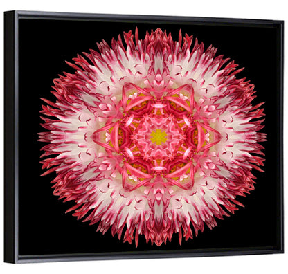 Magenta Chrysanthemum Star Mandala Wall Art