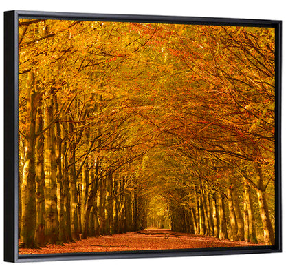 Forest Beech Trees Wall Art