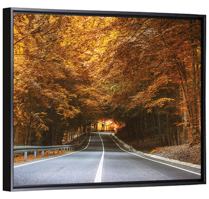 Autumn Forest Road with Canopy Wall Art