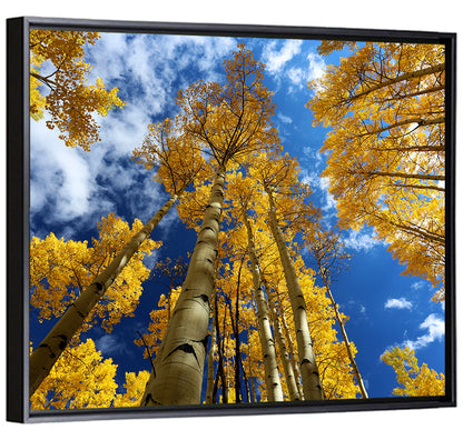 Aspen Trees Wall Art