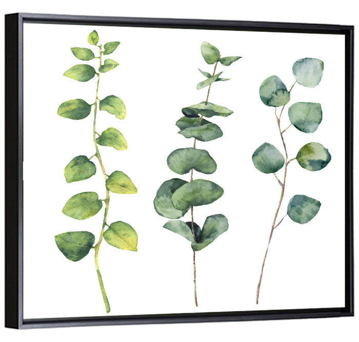 Watercolor Eucalyptus Stems Wall Art as a framed canvas