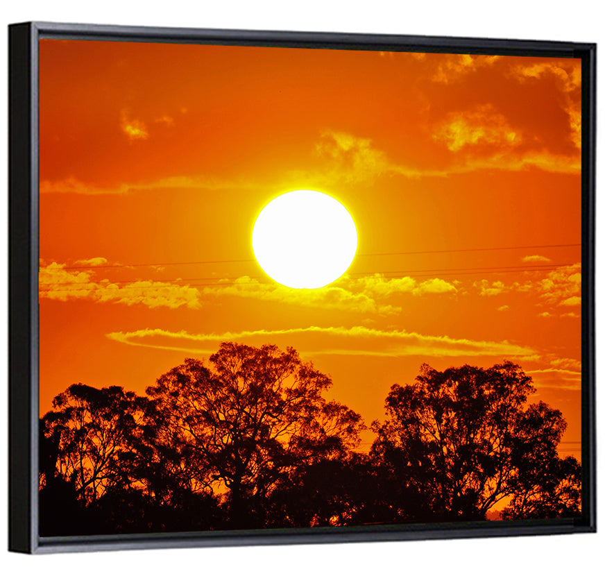 Burning Sun Over Tree Silhouettes Wall Art