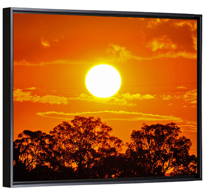 Burning Sun Over Tree Silhouettes Wall Art