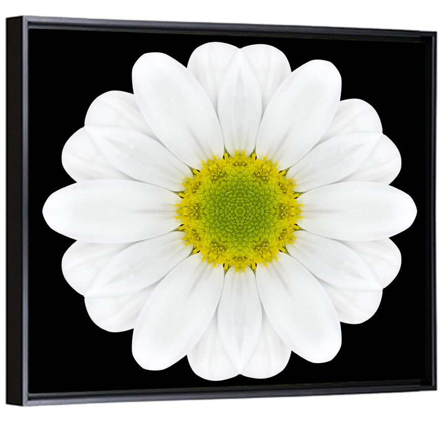 High Contrast Daisy Mandala Pattern Wall Art