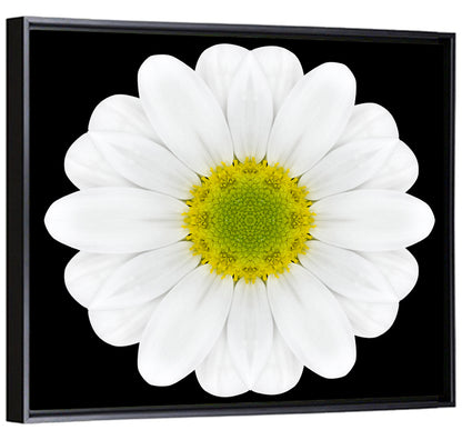 High Contrast Daisy Mandala Pattern Wall Art