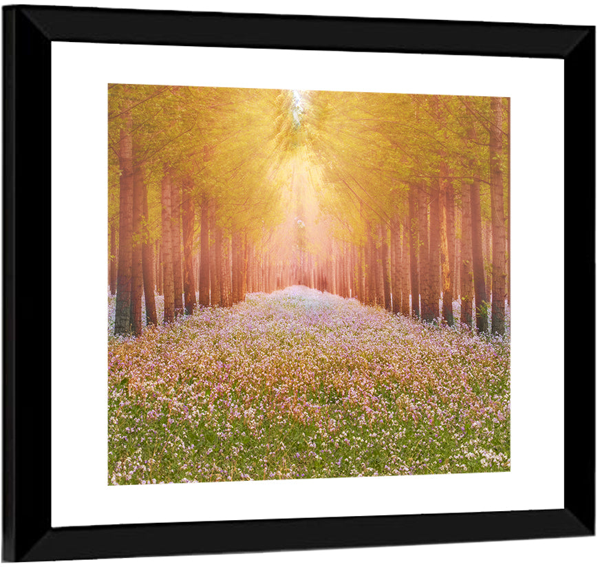 Golden Morning Forest Path Wall Art