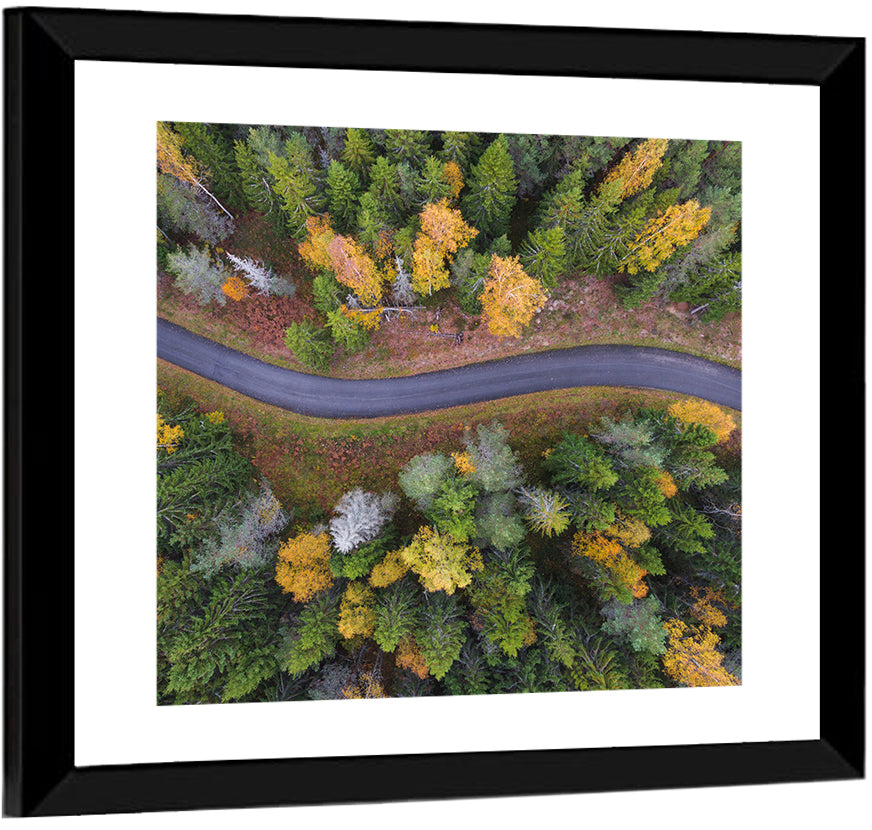 Aerial Autumn Forest Road Wall Art