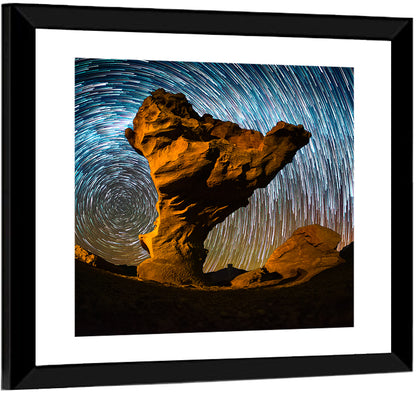 Arbol de Piedra & Star Trails Wall Art
