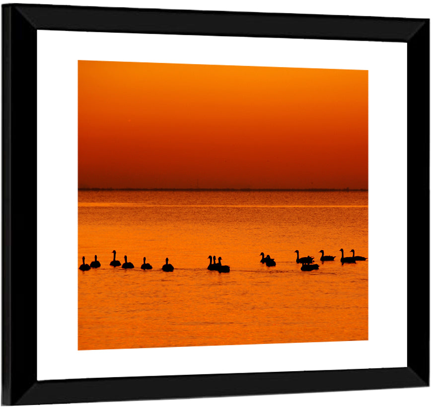 Geese Silhouettes at Orange Sunset Wall Art