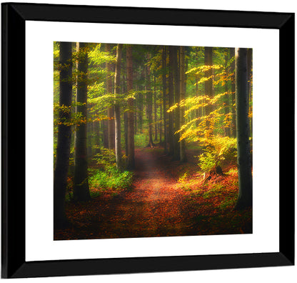 Autumn Forest Pathway Wall Art