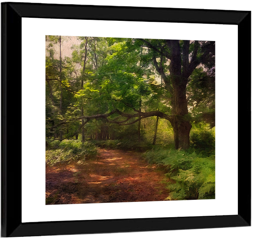 Sunlit Forest Trail Wall Art