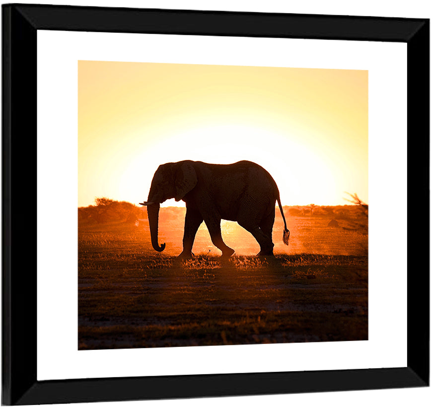 Golden Hour Elephant Silhouette Wall Art