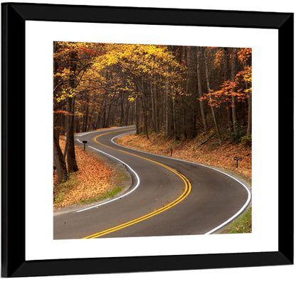 S-curve Road Through Autumn Forest Wall Art