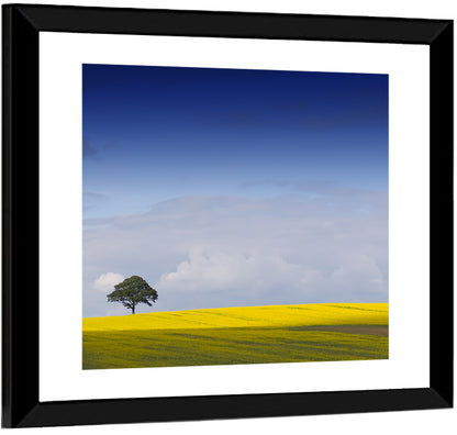 Mountain Rapeseed Field Wall Art