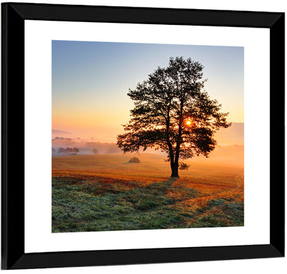 Hazy Meadow Morning & Tree Wall Art